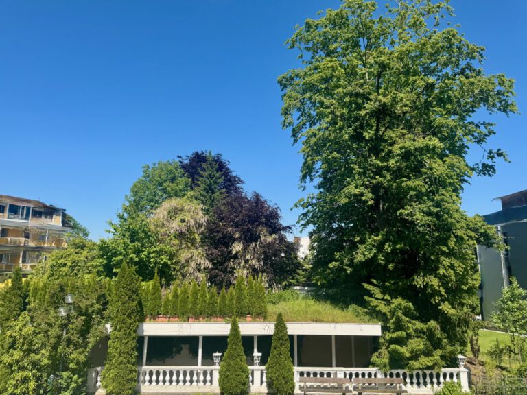 Blick vom Balkon der Küche