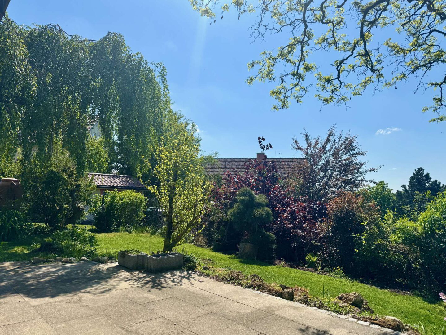 Blick von der Terrasse