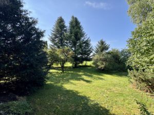 Ausschnitt vom Garten