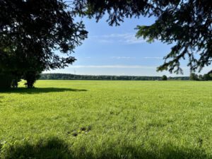 Südblick über Gartenzaun